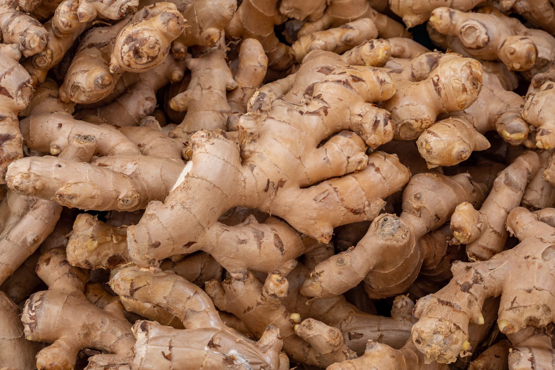 Organic ginger at the weekly market