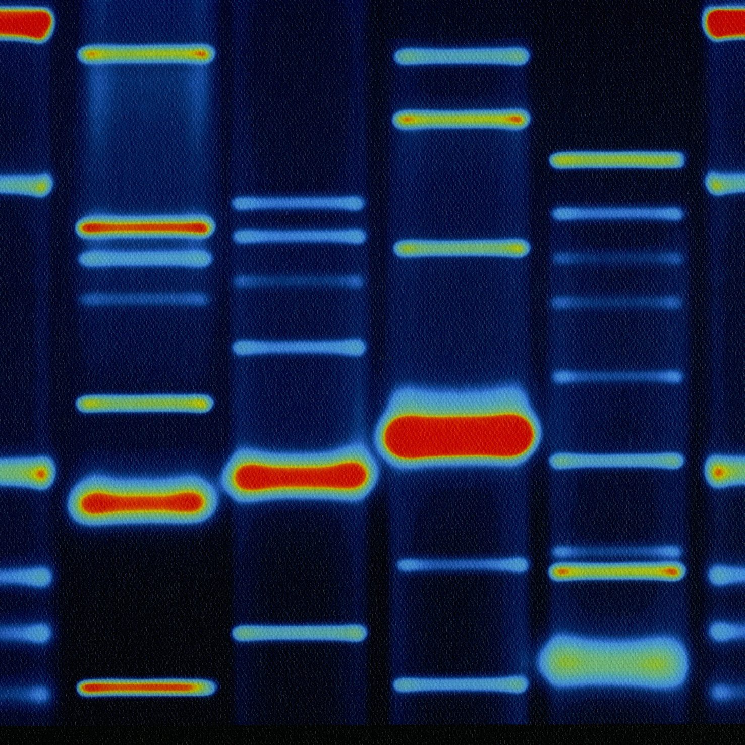 DNA configuration