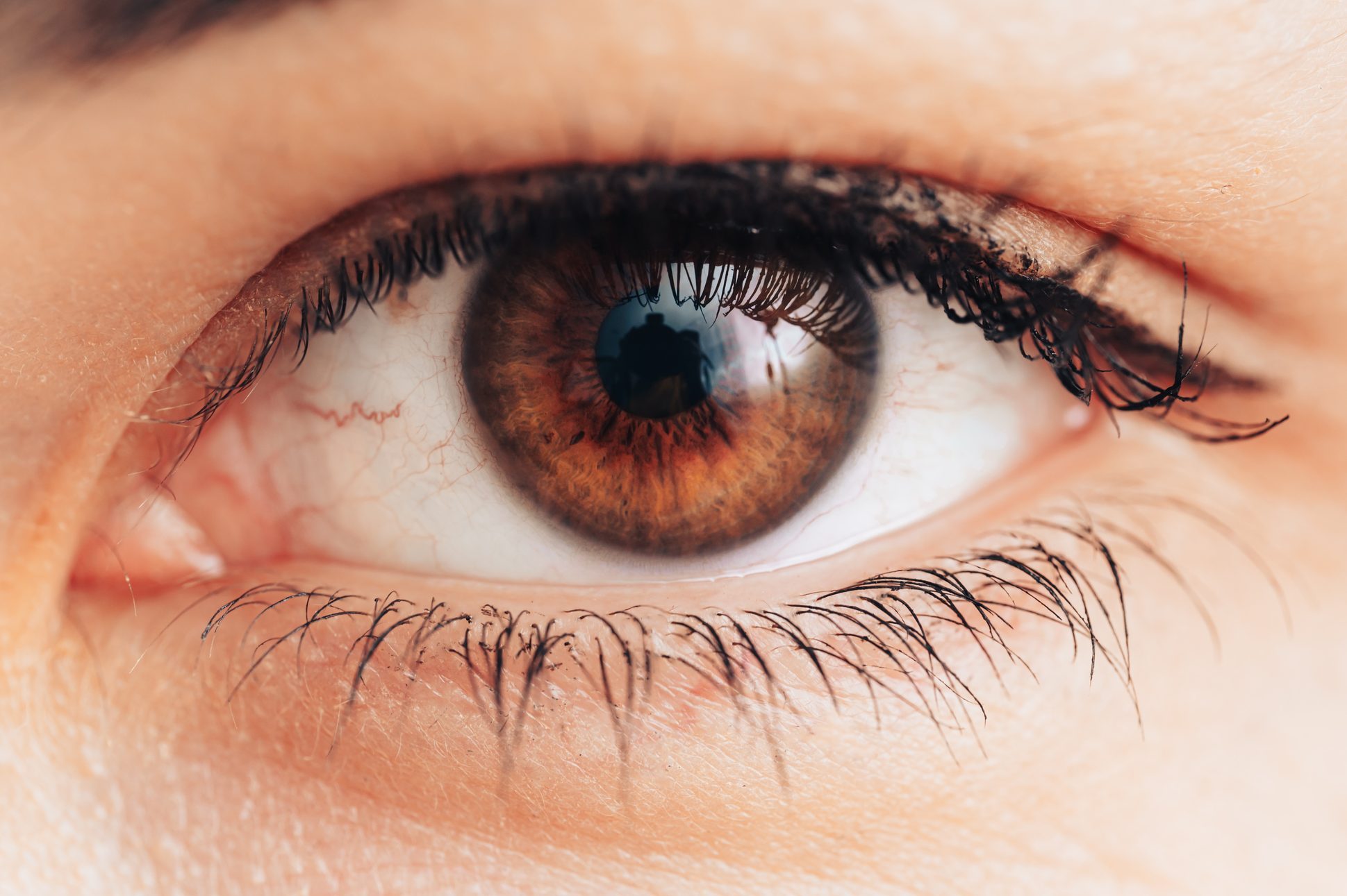 Healthy brown female eye close up