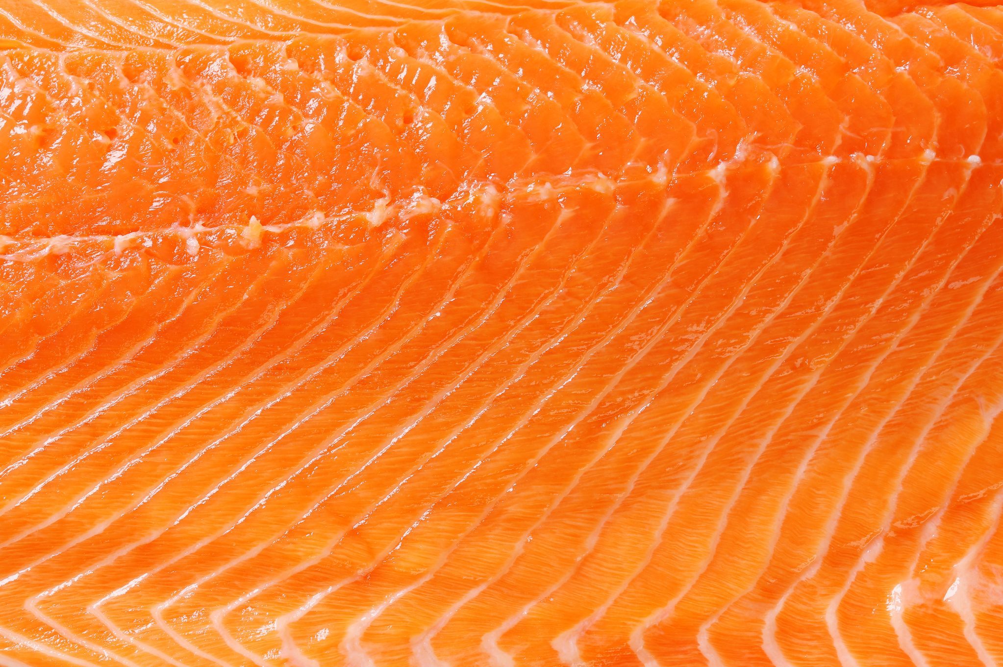 Raw salmon background