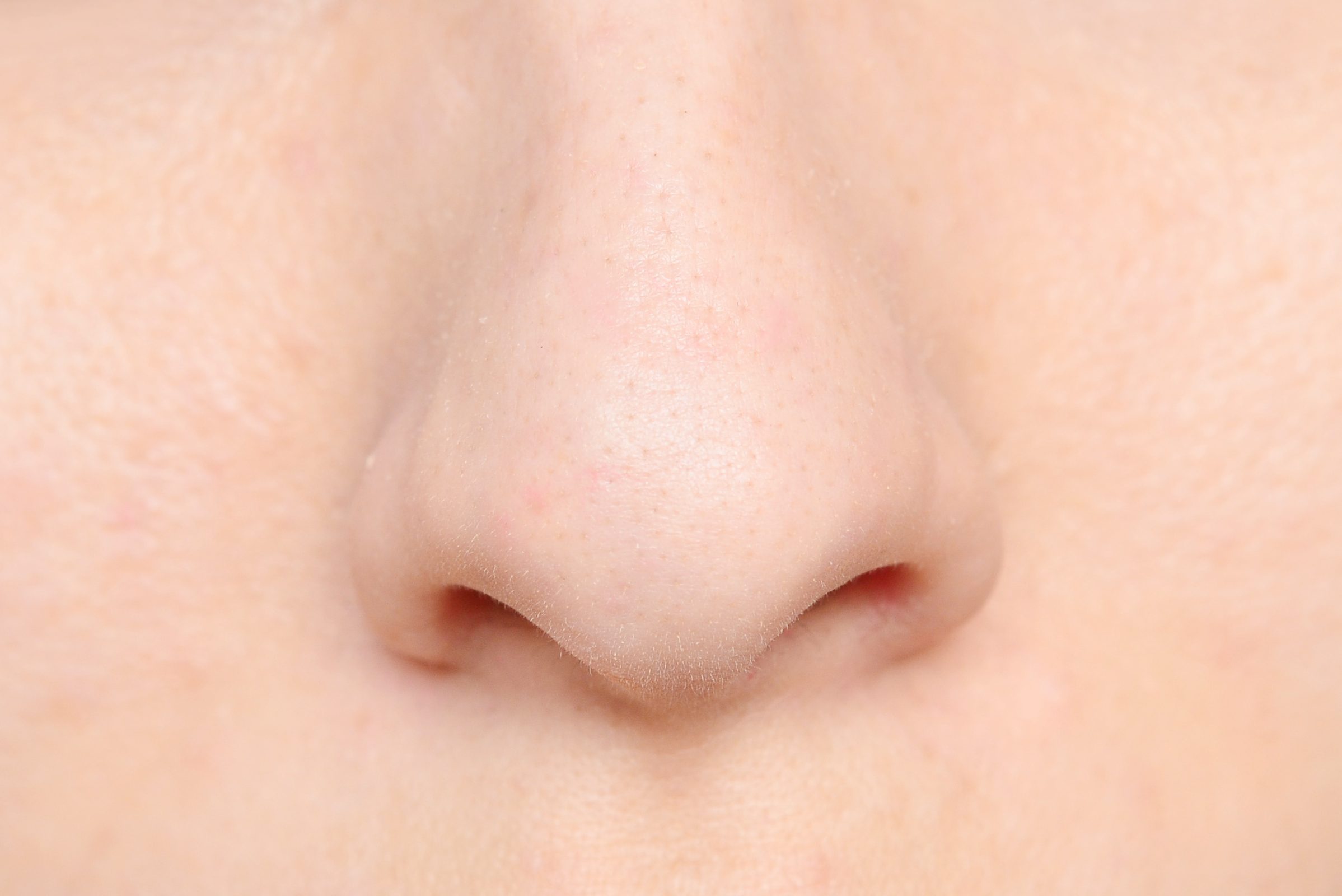 human nose