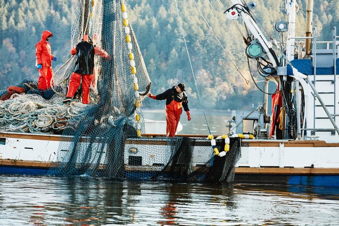 Crew of fishing boat hauling in net while fishing for salmon