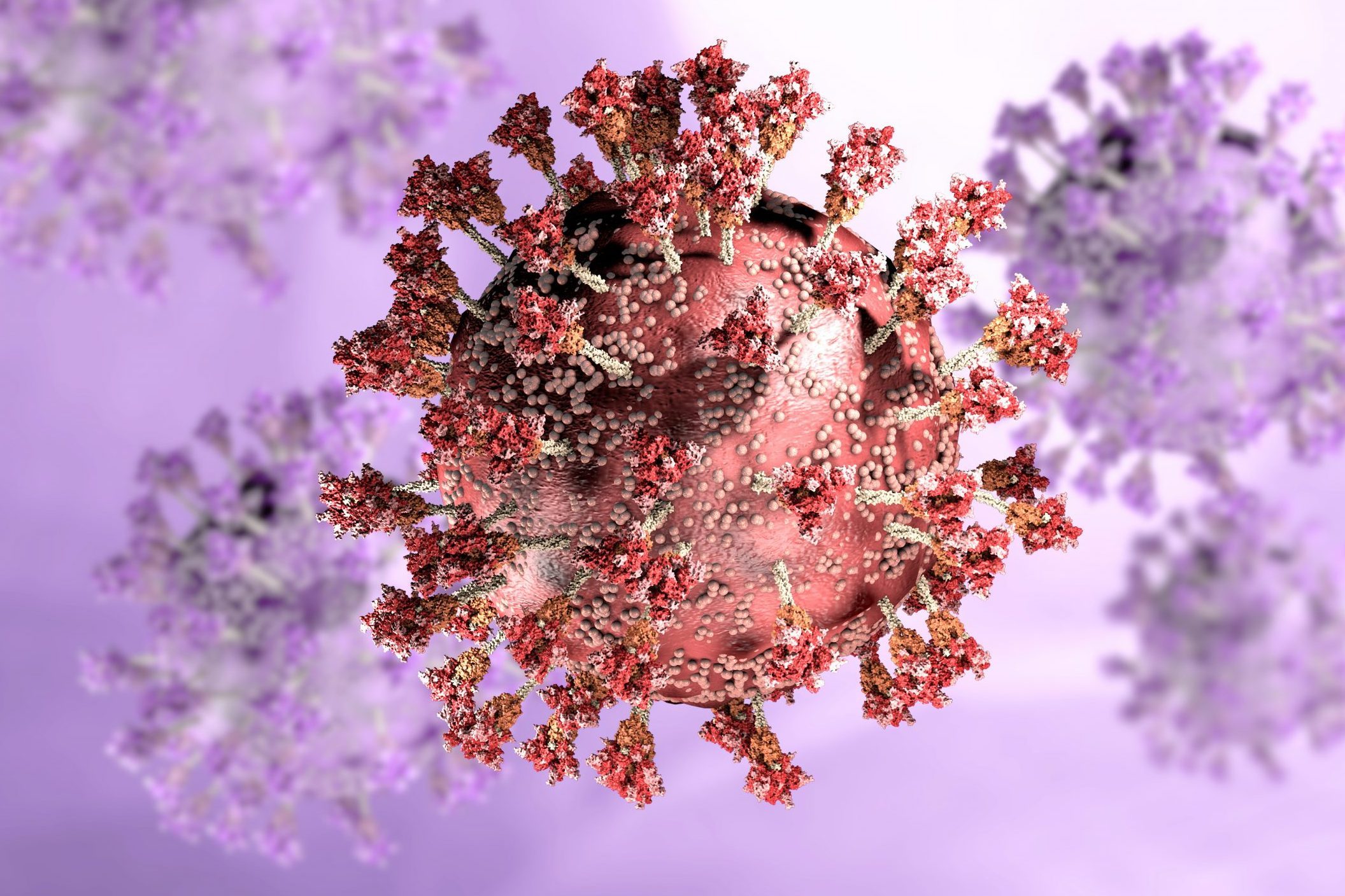 Virus variant, coronavirus, spike protein. Omicron. Covid-19 seen under the microscope