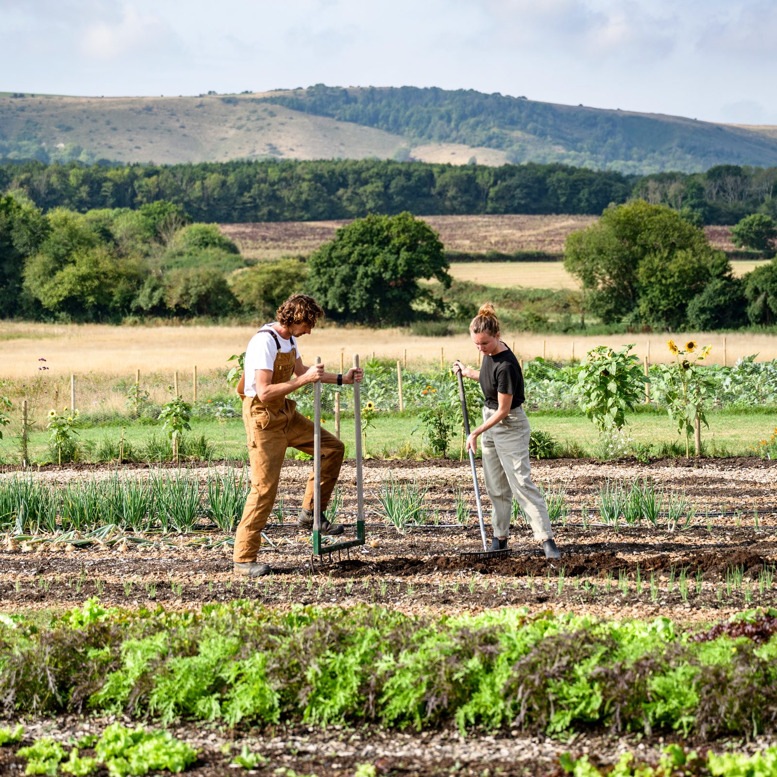 Regenerative soil preparation on smallholding farm