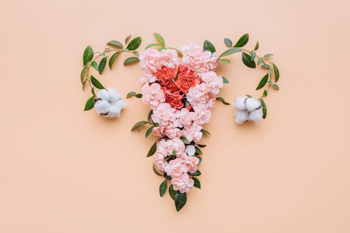 female reproductive system made up of flowers and leaves