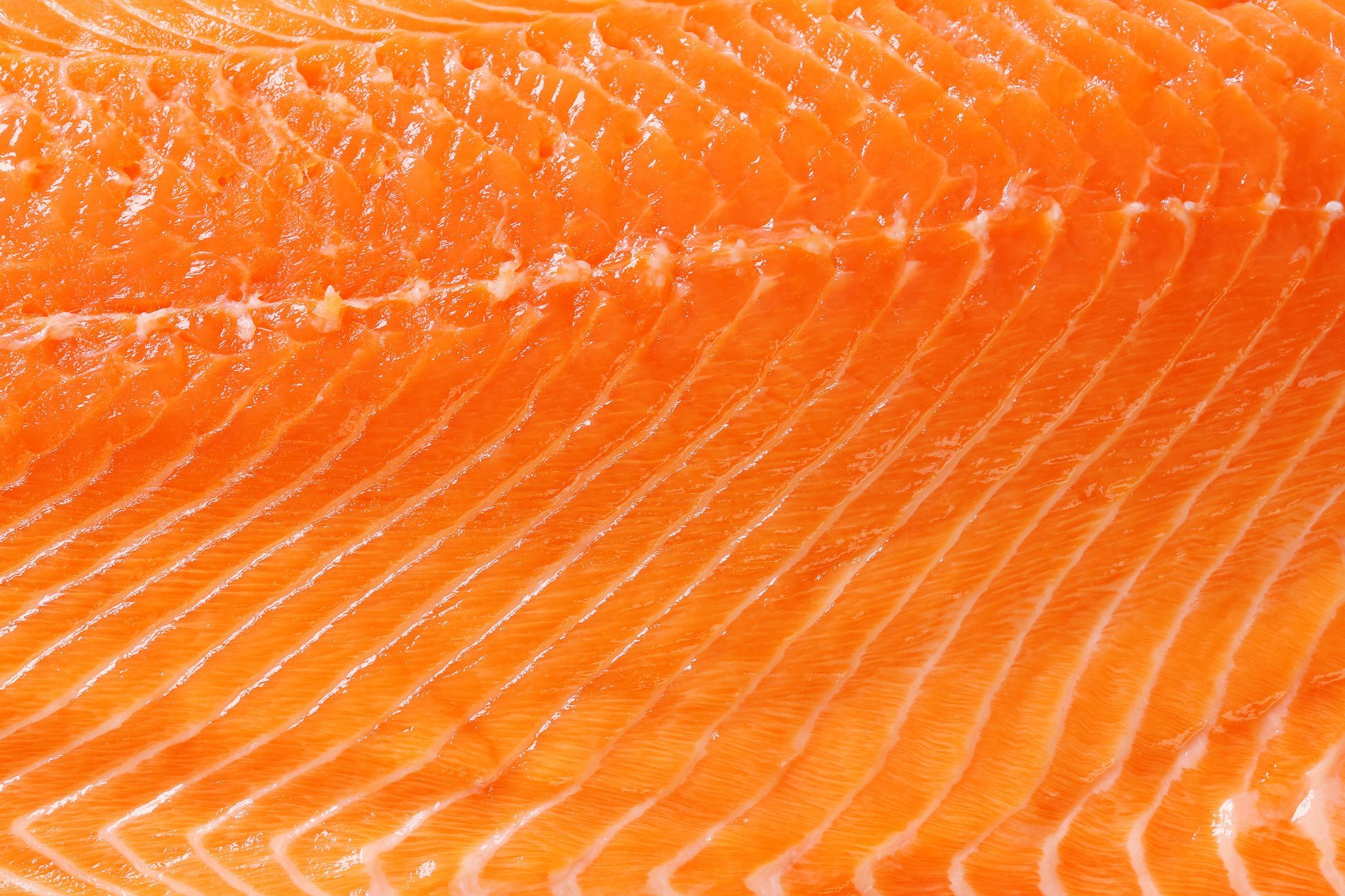 Raw salmon background