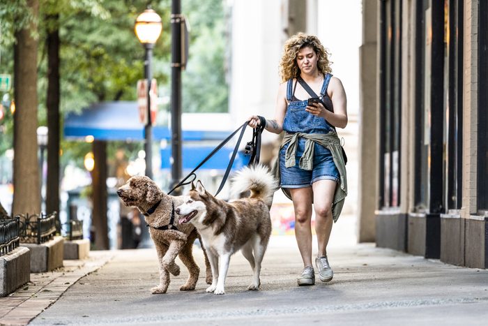 Dog Walking Injuries