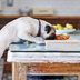 A List of Foods Dogs Can't Eatâ€”and How to React If They Do, from Experts