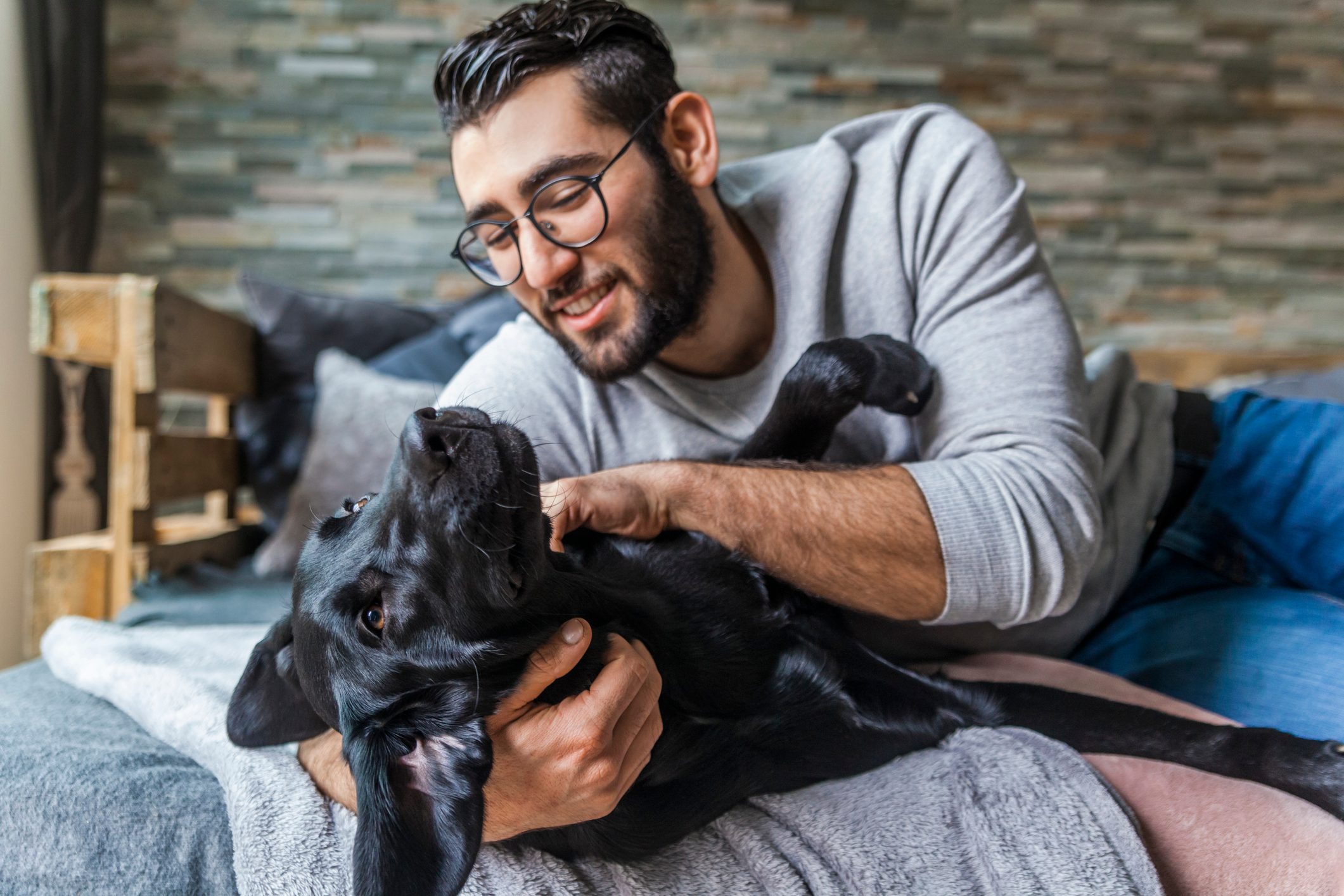 Smiling man stroking his dog on the couch at home