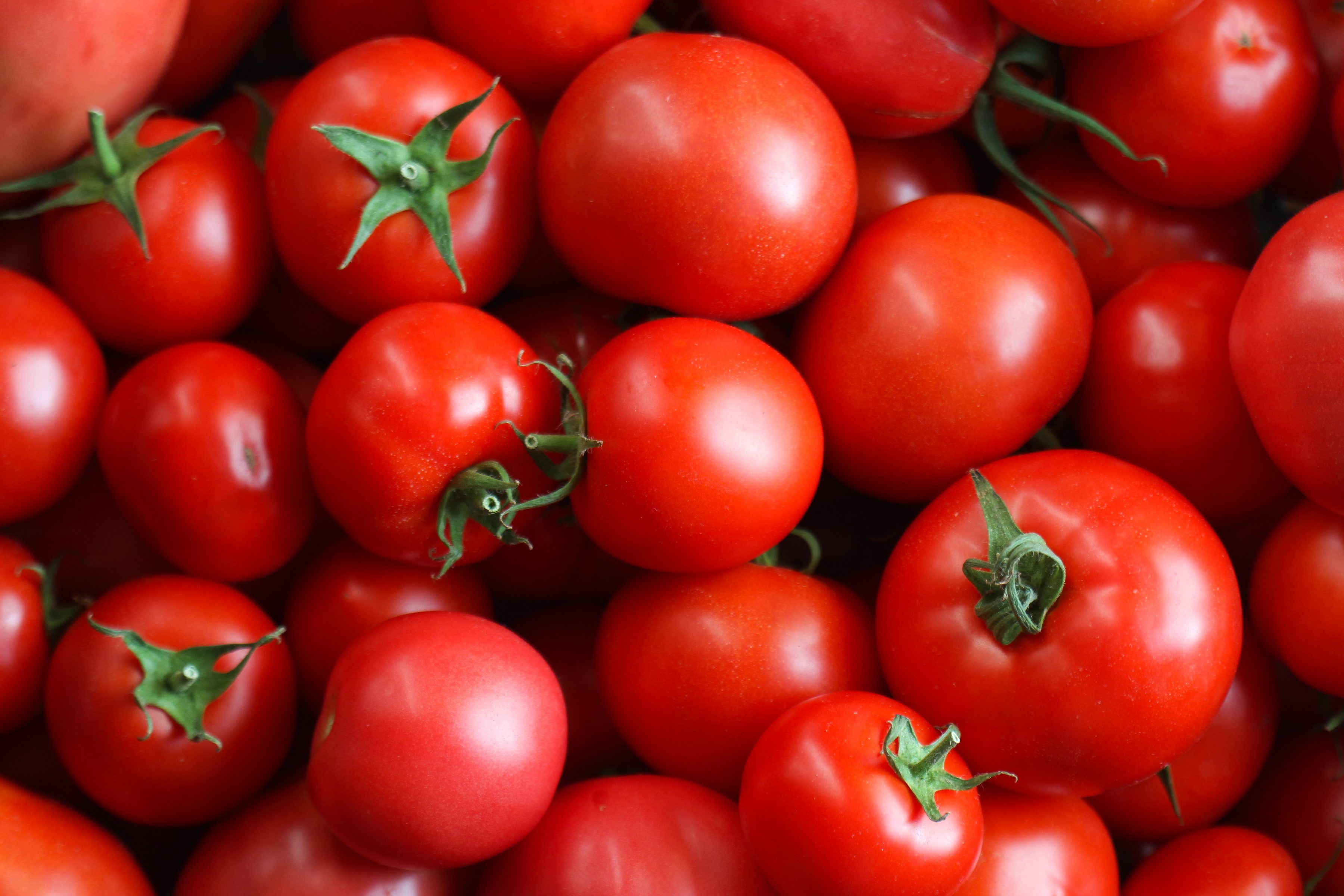 Red natural countryside tomato composition.
