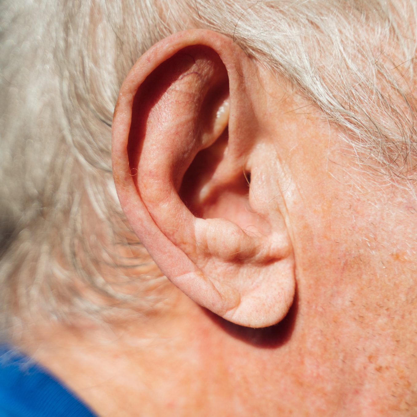 Close-up of old man ear and grey hair in bright sunlight