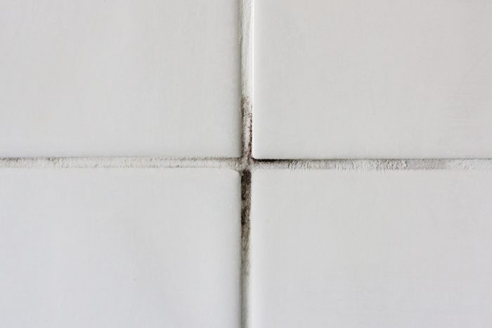 Bathroom mould on tile grouting