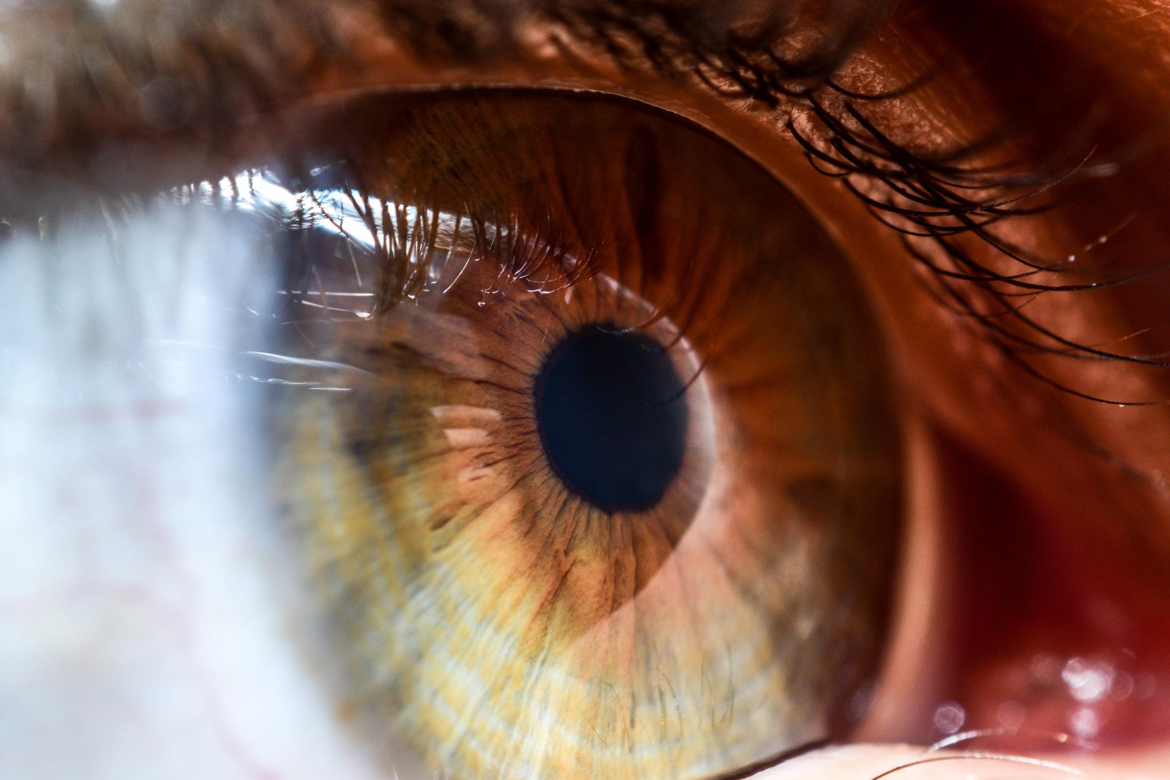 close up macros shot of an eye watching pornography