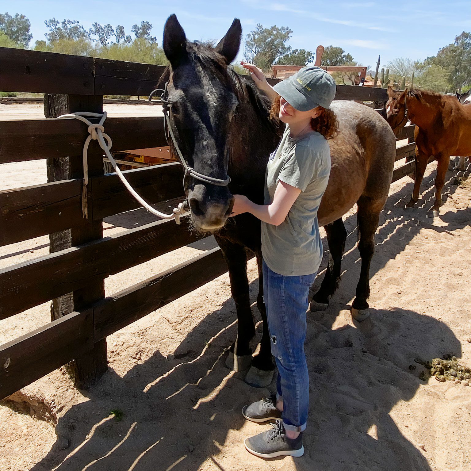 Woman with a black horse for horse therapy