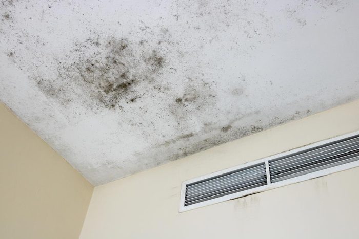 Warning Signs Of Mold Toxicity