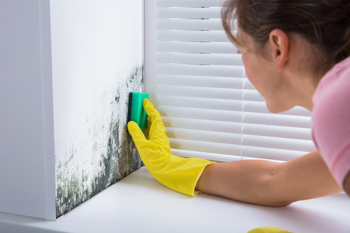 Warning Signs Of Mold Toxicity 