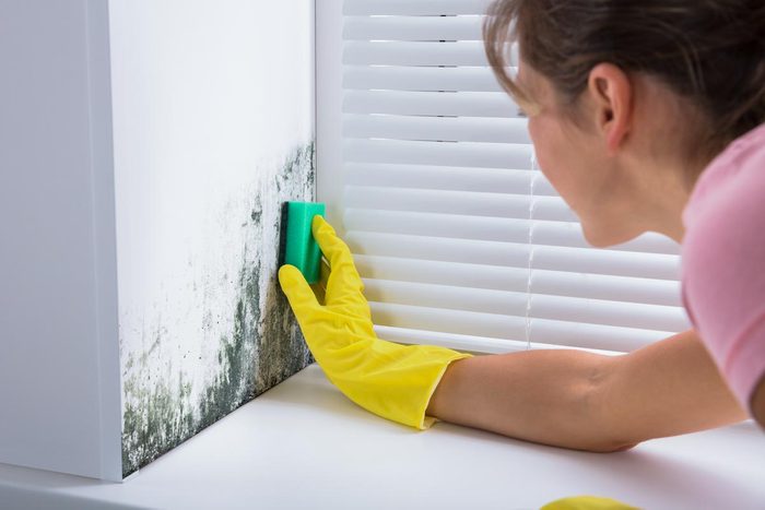 Warning Signs Of Mold Toxicity