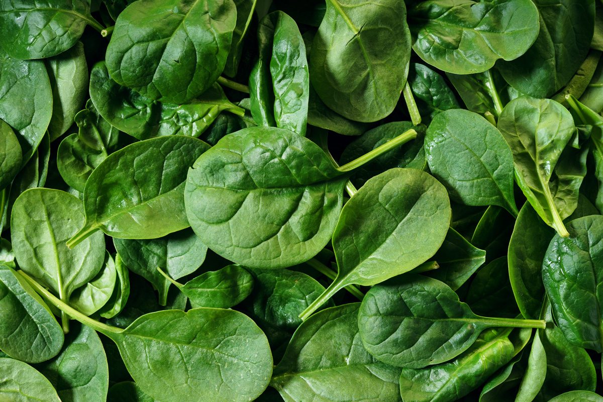 green baby spinach